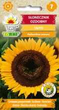Słonecznik ozdobny Taiyo