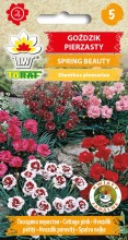 Goździk pierzasty - Spring Beauty