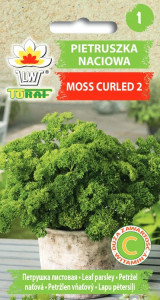 Pietruszka naciowa kędzierzawa Moss Curled 2