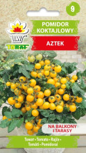 Pomidor koktajlowy AZTEK
