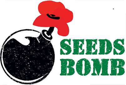 bomba ogrodnika Seeds Bomb