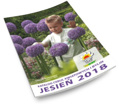 katalog cebul kwiatowych i bylin jesień 2018