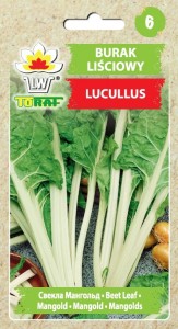 Burak liściowy Lucullus