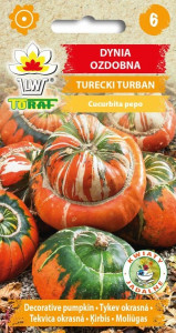 Dynia ozdobna Turecki Turban