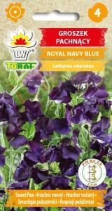 Groszek pachnący Royal Navy Blue