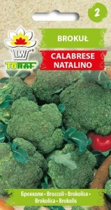 Brokuł Calabrese Natalino