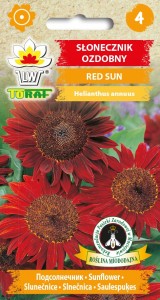 Słonecznik ozdobny Red Sun