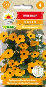 Tunbergia pomarańczowa Black Eye