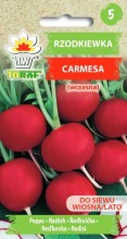 Rzodkiewka Carmesa (wczesna)