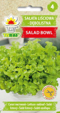 Sałata liściowa - dębolistna Salad Bowl