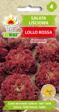 Sałata liściowa Lollo Rossa (wczesna)