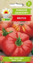 Pomidor gruntowy Brutus