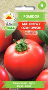 Pomidor gruntowy Malinowy Ożarowski (wczesny)