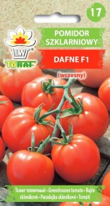 Pomidor szklarniowy Dafne F1 (wczesny)
