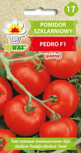 Pomidor szklarniowy PEDRO F1 (późny)