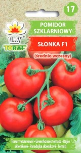 Pomidor szklarniowy Słonka F1 (średnio wczesny)