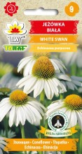 Jeżówka White Swan - biała