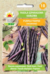 Fasola szparagowa karłowa Purple Teepee (wczesna)