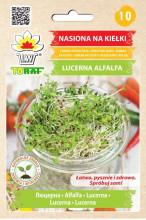 Nasiona na kiełki – lucerna Alfalfa