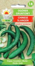 Ogórek sałatkowy gruntowy Chinese Slangen (średnio wczesny)