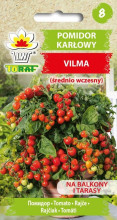 Pomidor karłowy VILMA (średnio wczesny)