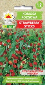 Komosa rózgowa Strawberry Sticks