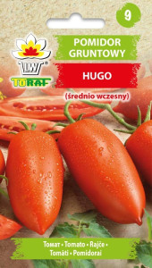 Pomidor gruntowy HUGO (średnio wczesny)