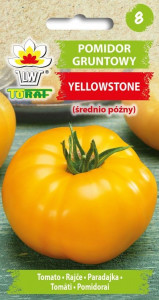 Pomidor gruntowy YELLOWSTONE (średnio późny)