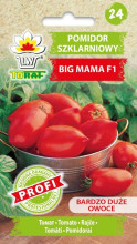 Pomidor szklarniowy BIG MAMA F1 